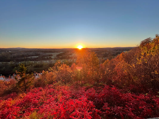 Awaken & Align Spring Yoga + Reiki Retreat