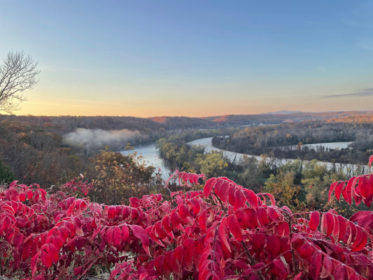 Coming Home: An Autumn Retreat for Rest & Renewal