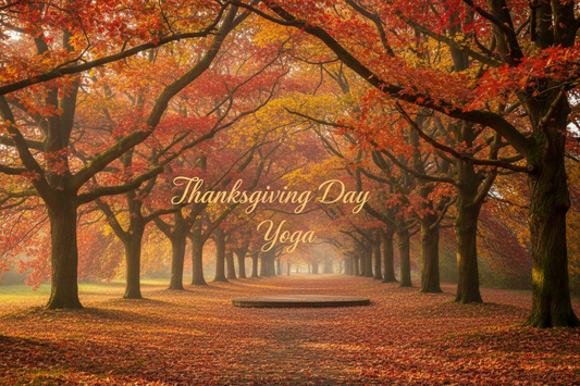 A grove of beautiful autumn trees for Thanksgiving Day Yoga (no people in photo) Please put Thanksgiving Day Yoga in the photo 