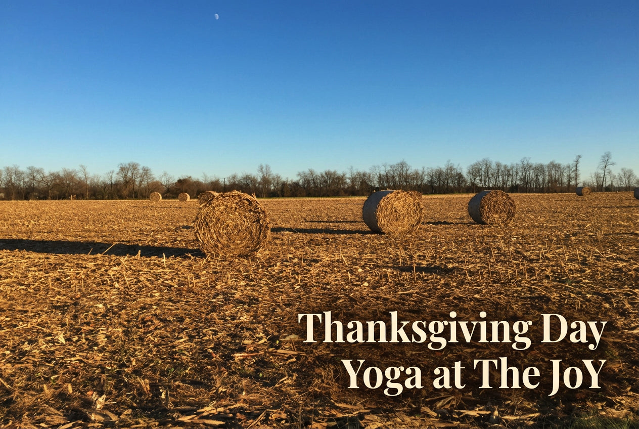 8th Annual Thanksgiving Day Yoga